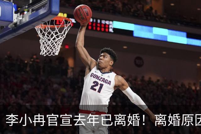 李小冉官宣去年已离婚！离婚原因有财务风险说和丁克说，前夫被执行2111万