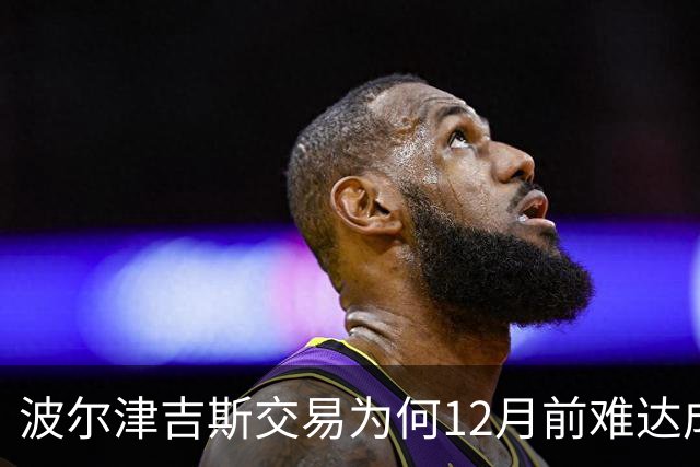 波尔津吉斯交易为何12月前难达成？美记点出两大障碍