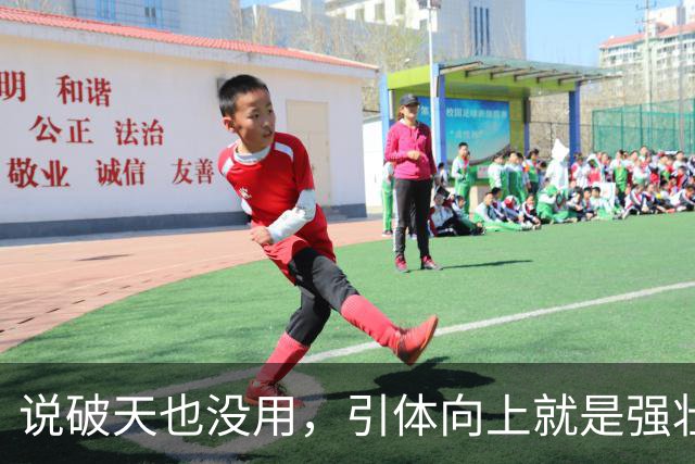 说破天也没用，引体向上就是强壮与否唯一标准，拉不起来就是不行
